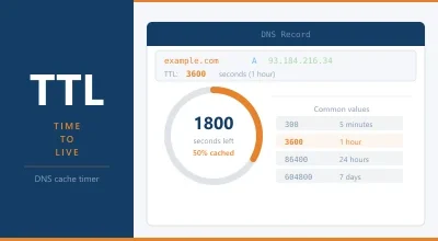 What Is TTL (Time to Live)?