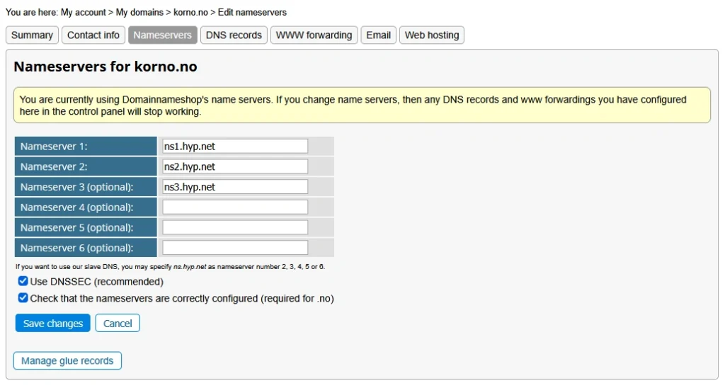 Domeneshop old control panel DNS settings
